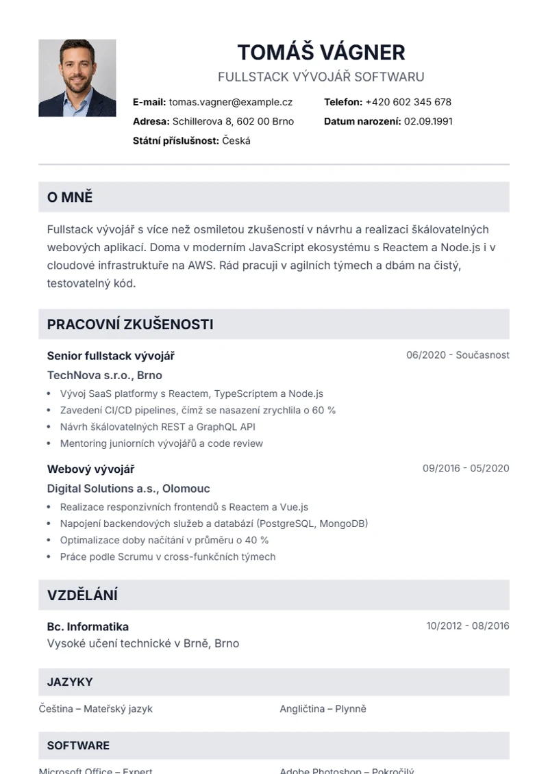 Šablona životopisu Professional – ukázka
