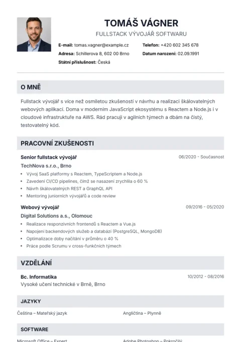 Lebenslauf-Vorlage Professional