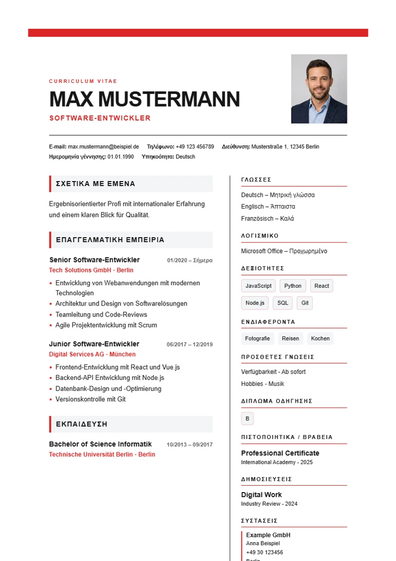 Πρότυπο βιογραφικού Swiss Grid – δείγμα