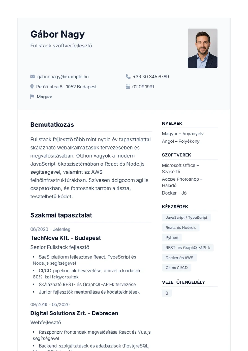 Professional önéletrajz-sablon – minta