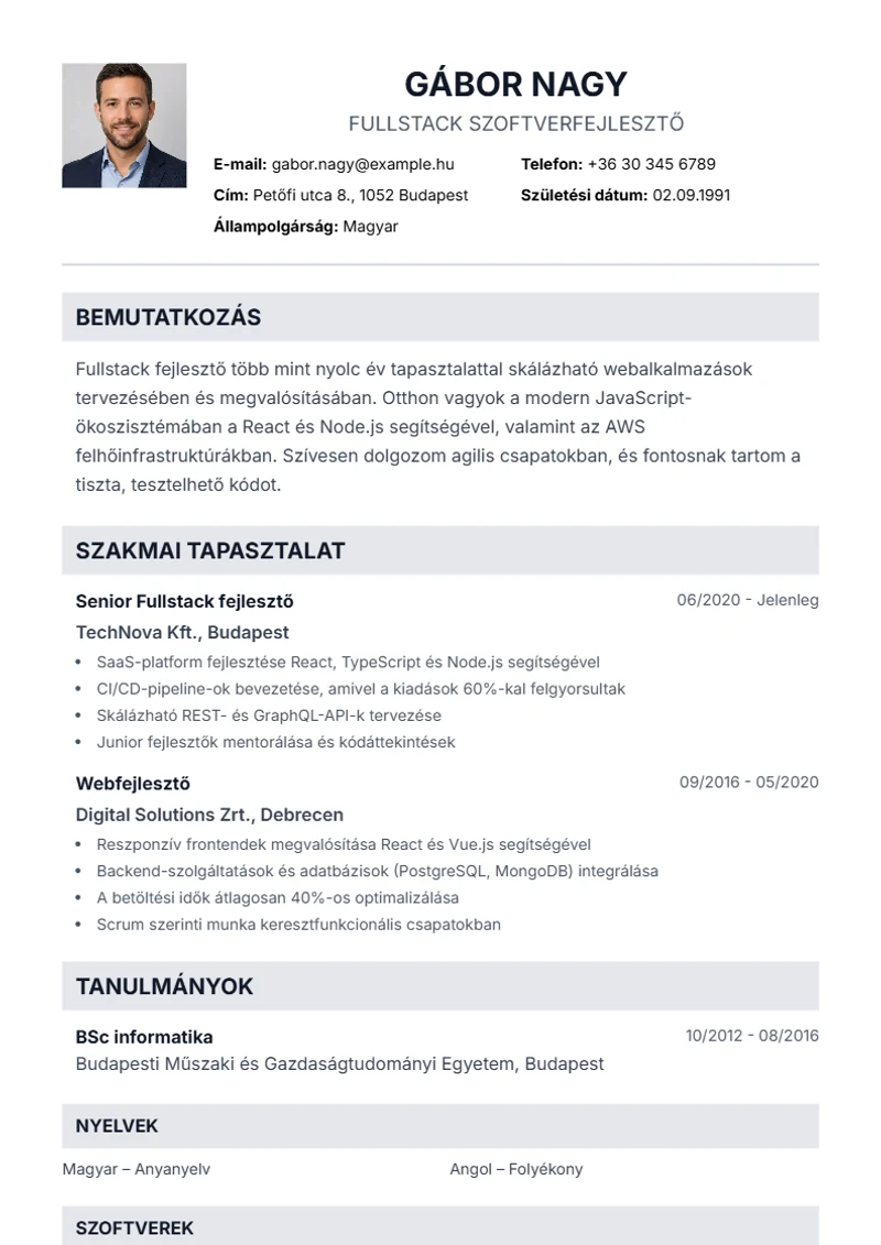 Professional önéletrajz-sablon – minta