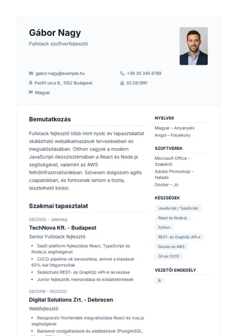 Lebenslauf-Vorlage De Professional