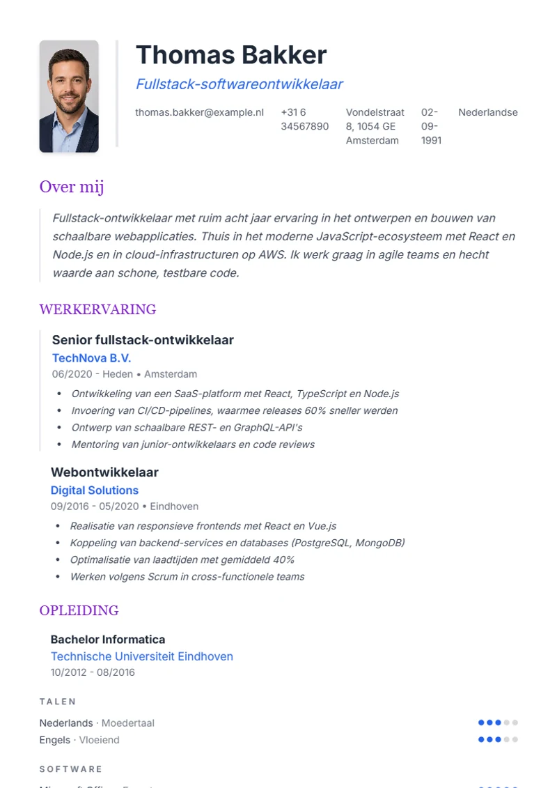 CV-sjabloon Elegant – voorbeeld volgens DIN 5008