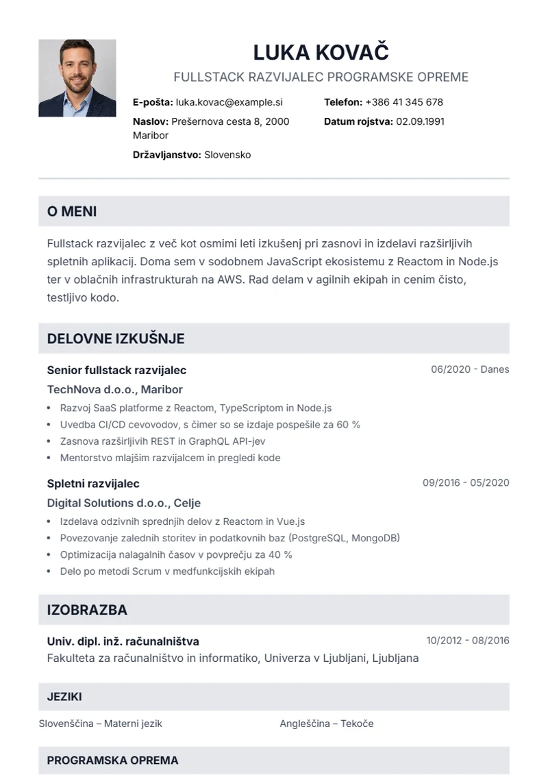 Predloga življenjepisa Professional – vzorec